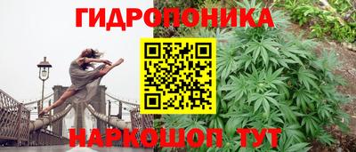 a pvp Пушкино