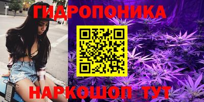 a pvp Пушкино