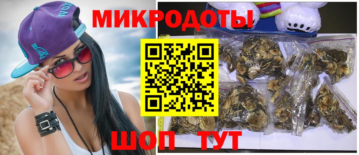 Галлюциногенные грибы Cubensis  Вход с VPN  Галлюциногенные грибы Psilocybine cubensis  Павлово 